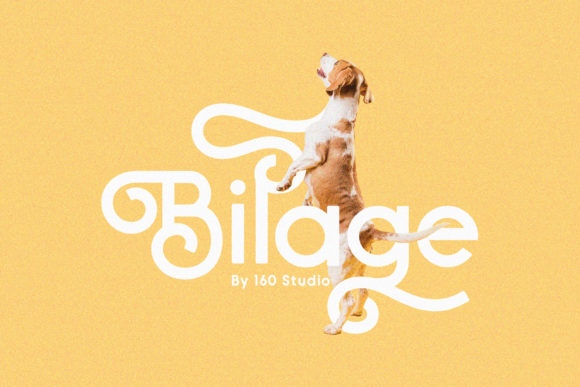 Bilage Font for Creative Projects