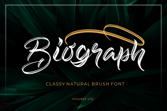 Biograph Font for Web Design