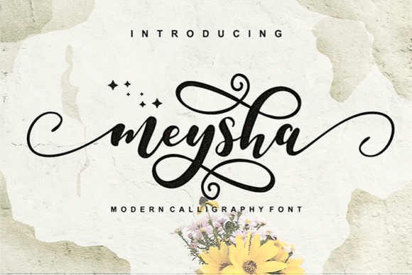 Meysha Font for Web Design